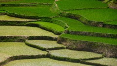 Madagaskar copyright piotr nogal 20191020_101826