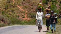 Madagaskar copyright piotr nogal 20191020_101938