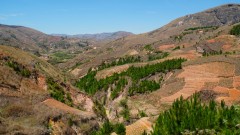 Madagaskar copyright piotr nogal 20191020_103114