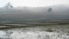 Madagaskar copyright piotr nogal 20191021_071508