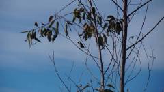 Madagaskar copyright piotr nogal 20191021_074209