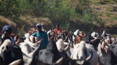 Madagaskar copyright piotr nogal 20191021_081736