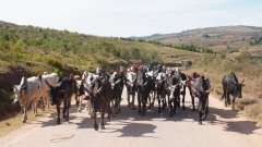 Madagaskar copyright piotr nogal 20191021_081739