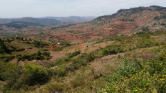 Madagaskar copyright piotr nogal 20191021_093011