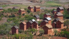 Madagaskar copyright piotr nogal 20191021_094512 Madagaskar copyright piotr nogal 20191021_094512