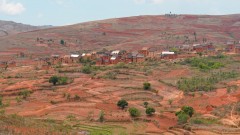 Madagaskar copyright piotr nogal 20191021_111746 Madagaskar copyright piotr nogal 20191021_111746