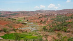 Madagaskar copyright piotr nogal 20191021_111939 Madagaskar copyright piotr nogal 20191021_111939