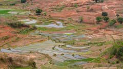 Madagaskar copyright piotr nogal 20191021_111947 Madagaskar copyright piotr nogal 20191021_111947