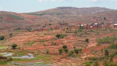 Madagaskar copyright piotr nogal 20191021_112001 Madagaskar copyright piotr nogal 20191021_112001