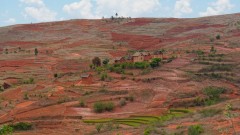 Madagaskar copyright piotr nogal 20191021_112325 Madagaskar copyright piotr nogal 20191021_112325