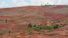 Madagaskar copyright piotr nogal 20191021_112512 Madagaskar copyright piotr nogal 20191021_112512