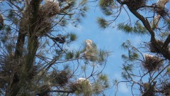 Madagaskar copyright piotr nogal 20191021_123541 Madagaskar copyright piotr nogal 20191021_123541