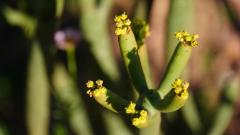 Madagaskar copyright piotr nogal 20191022_065316 Madagaskar copyright piotr nogal 20191022_065316