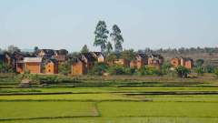 Madagaskar copyright piotr nogal 20191022_073747 Madagaskar copyright piotr nogal 20191022_073747