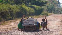 Madagaskar copyright piotr nogal 20191022_075632 Madagaskar copyright piotr nogal 20191022_075632