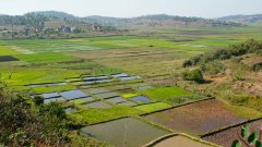 Madagaskar copyright piotr nogal 20191022_075844 Madagaskar copyright piotr nogal 20191022_075844