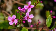 Madagaskar copyright piotr nogal 20191022_084727 Madagaskar copyright piotr nogal 20191022_084727