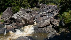 Madagaskar copyright piotr nogal 20191022_093112 Madagaskar copyright piotr nogal 20191022_093112