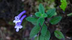 Madagaskar copyright piotr nogal 20191022_093152 Madagaskar copyright piotr nogal 20191022_093152