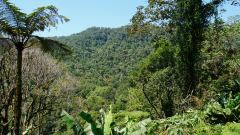 Madagaskar copyright piotr nogal 20191022_094602 Madagaskar copyright piotr nogal 20191022_094602