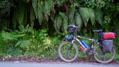 Madagaskar copyright piotr nogal 20191022_094834 Madagaskar copyright piotr nogal 20191022_094834