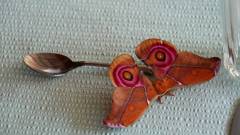 Madagaskar copyright piotr nogal 20191022_101515 Madagaskar copyright piotr nogal 20191022_101515