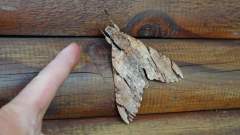 Madagaskar copyright piotr nogal 20191022_101615 Madagaskar copyright piotr nogal 20191022_101615