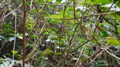 Madagaskar copyright piotr nogal 20191022_133847 Madagaskar copyright piotr nogal 20191022_133847