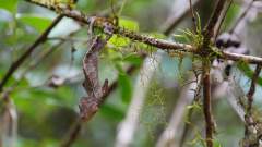 Madagaskar copyright piotr nogal 20191022_133908 Madagaskar copyright piotr nogal 20191022_133908