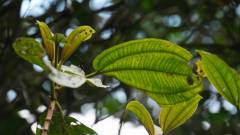 Madagaskar copyright piotr nogal 20191022_134235 Madagaskar copyright piotr nogal 20191022_134235