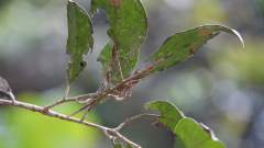 Madagaskar copyright piotr nogal 20191022_134733 Madagaskar copyright piotr nogal 20191022_134733