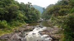 Madagaskar copyright piotr nogal 20191022_134840 Madagaskar copyright piotr nogal 20191022_134840