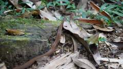 Madagaskar copyright piotr nogal 20191022_135631 Madagaskar copyright piotr nogal 20191022_135631