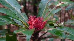 Madagaskar copyright piotr nogal 20191022_141639 Madagaskar copyright piotr nogal 20191022_141639