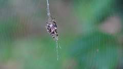 Madagaskar copyright piotr nogal 20191022_142056 Madagaskar copyright piotr nogal 20191022_142056