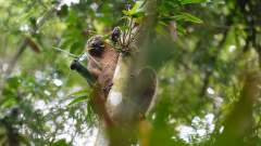 Madagaskar copyright piotr nogal 20191022_144828 Madagaskar copyright piotr nogal 20191022_144828