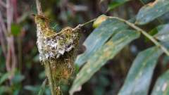 Madagaskar copyright piotr nogal 20191022_150926 Madagaskar copyright piotr nogal 20191022_150926