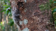 Madagaskar copyright piotr nogal 20191022_155916 Madagaskar copyright piotr nogal 20191022_155916