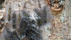 Madagaskar copyright piotr nogal 20191022_155939 Madagaskar copyright piotr nogal 20191022_155939