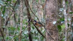 Madagaskar copyright piotr nogal 20191022_161907 Madagaskar copyright piotr nogal 20191022_161907