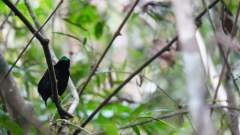 Madagaskar copyright piotr nogal 20191022_162907 Madagaskar copyright piotr nogal 20191022_162907