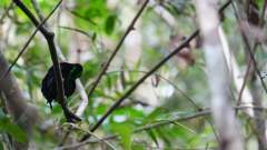 Madagaskar copyright piotr nogal 20191022_162914 Madagaskar copyright piotr nogal 20191022_162914