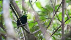 Madagaskar copyright piotr nogal 20191022_163059 Madagaskar copyright piotr nogal 20191022_163059