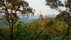 Madagaskar copyright piotr nogal 20191022_165001 Madagaskar copyright piotr nogal 20191022_165001