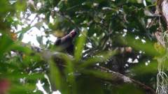 Madagaskar copyright piotr nogal 20191022_171355 Madagaskar copyright piotr nogal 20191022_171355