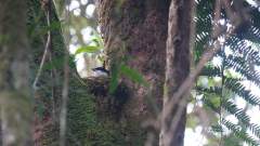 Madagaskar copyright piotr nogal 20191022_171757 Madagaskar copyright piotr nogal 20191022_171757