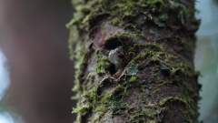 Madagaskar copyright piotr nogal 20191022_172328 Madagaskar copyright piotr nogal 20191022_172328