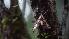 Madagaskar copyright piotr nogal 20191022_172921 Madagaskar copyright piotr nogal 20191022_172921