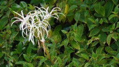 Madagaskar copyright piotr nogal 20191023_080450 Madagaskar copyright piotr nogal 20191023_080450