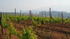 Madagaskar copyright piotr nogal 20191024_074850 Madagaskar copyright piotr nogal 20191024_074850